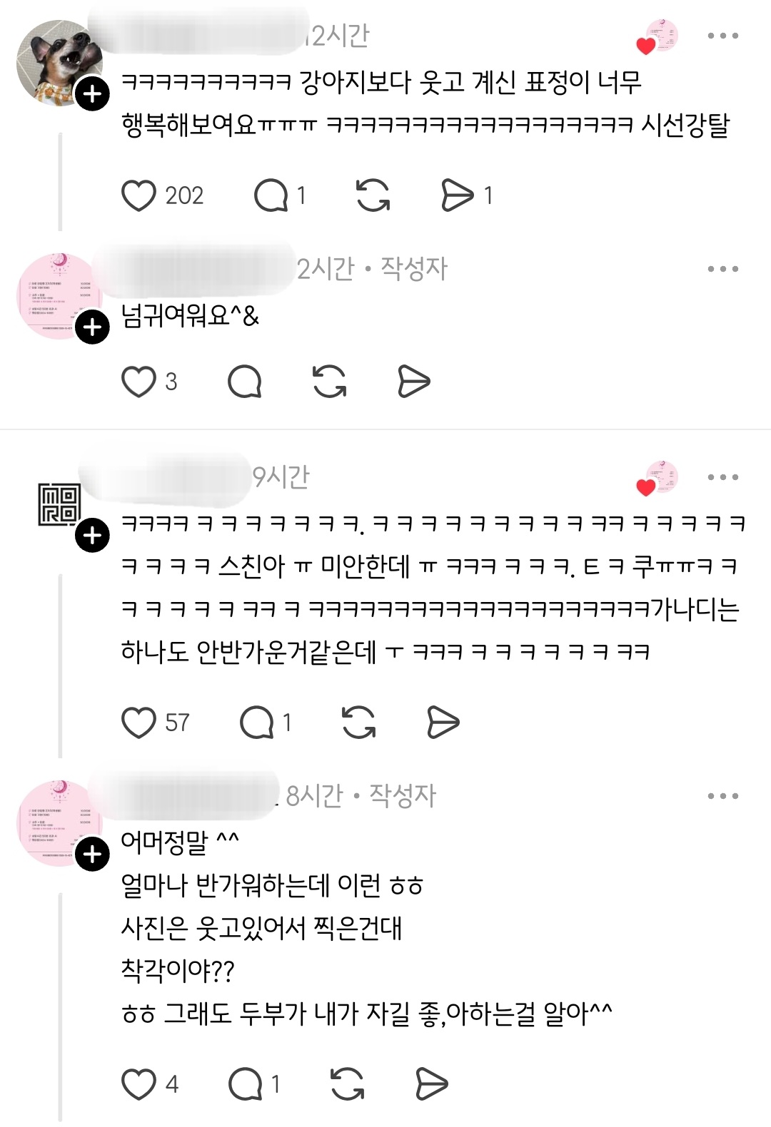세상에나 가나지가 날보고 이리 반가워 할줄이야 | 인스티즈