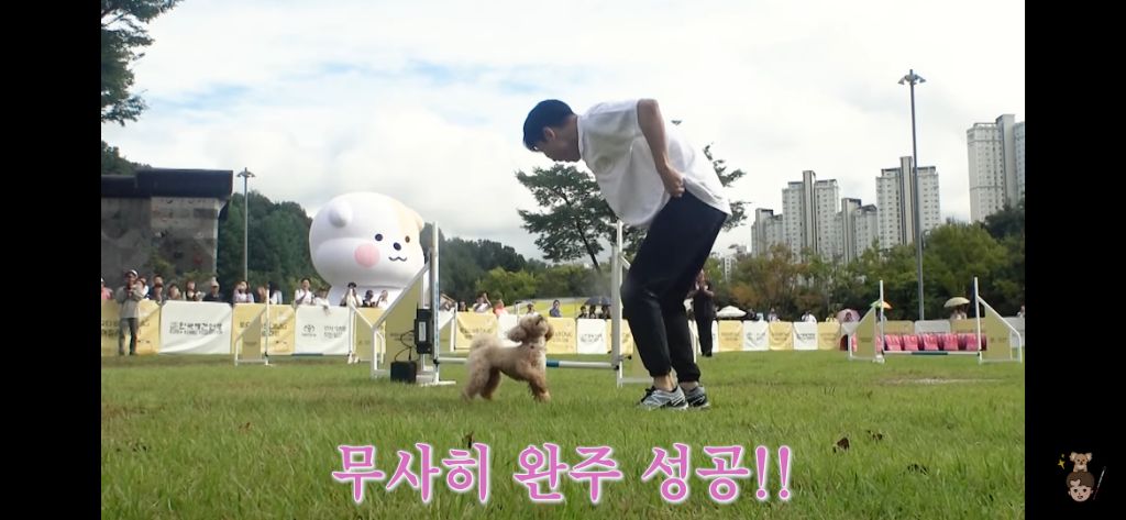 시각장애인과 천재견의 어질리티 출전 | 인스티즈