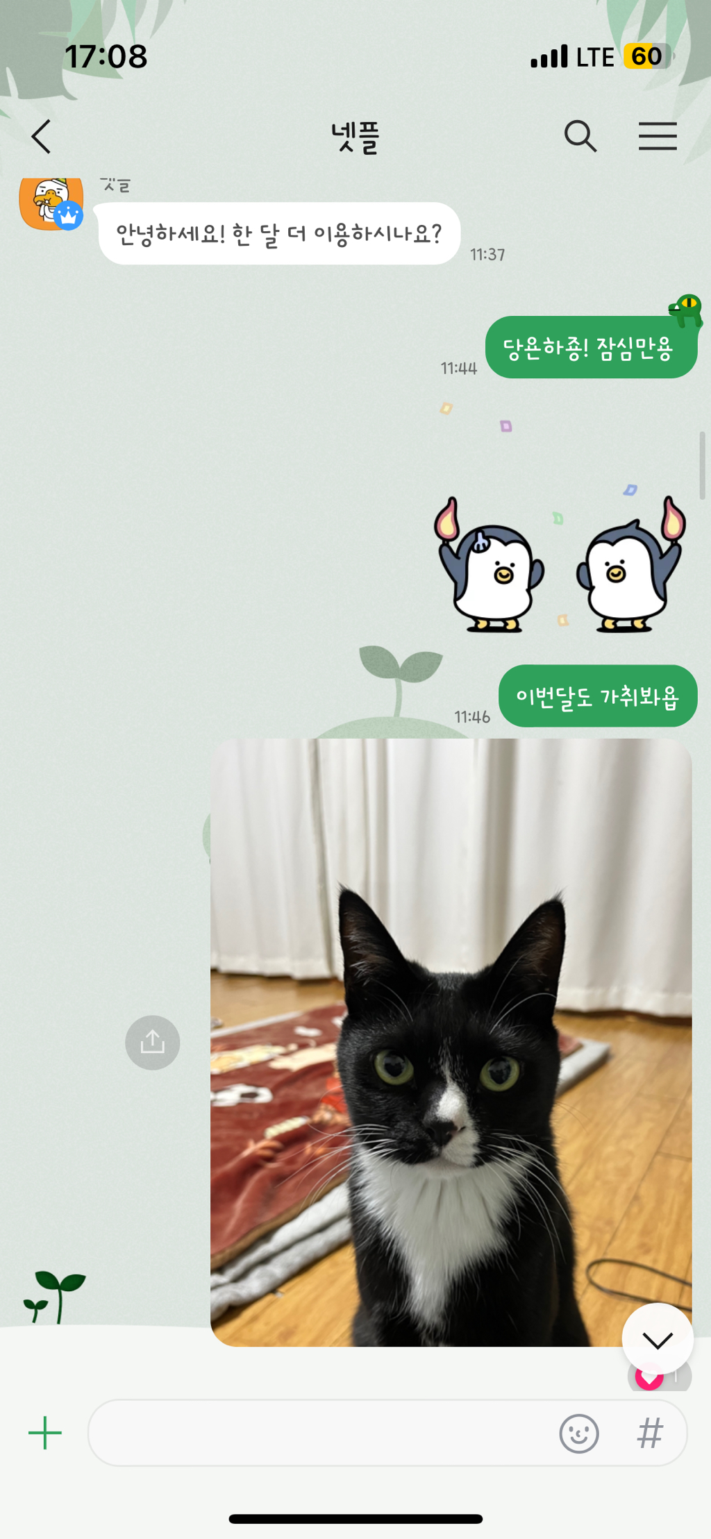 n년째 넷플 같이보는 중 ㅋㅋㅋ 아직도 가취봐욥 ~ing.. | 인스티즈