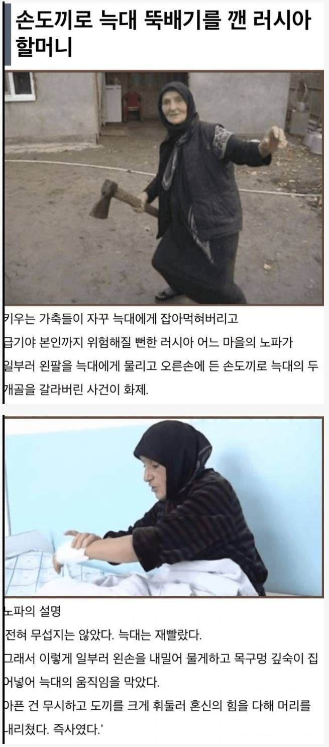 러시아 할머니 전투력 | 인스티즈