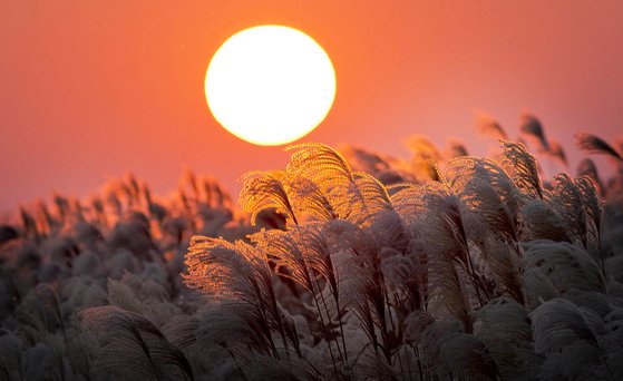 겨울 싫어걸들이 겨울 안좋아하는 이유 | 인스티즈