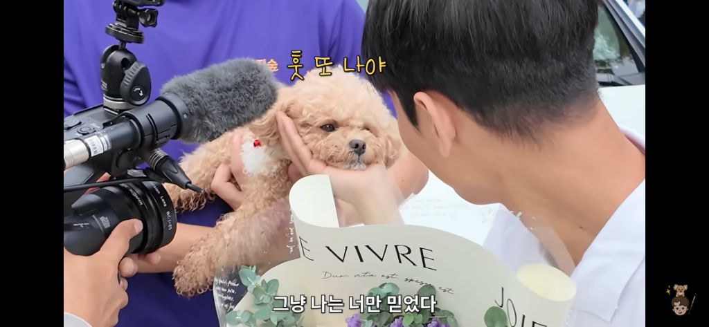 시각장애인과 천재견의 어질리티 출전 | 인스티즈