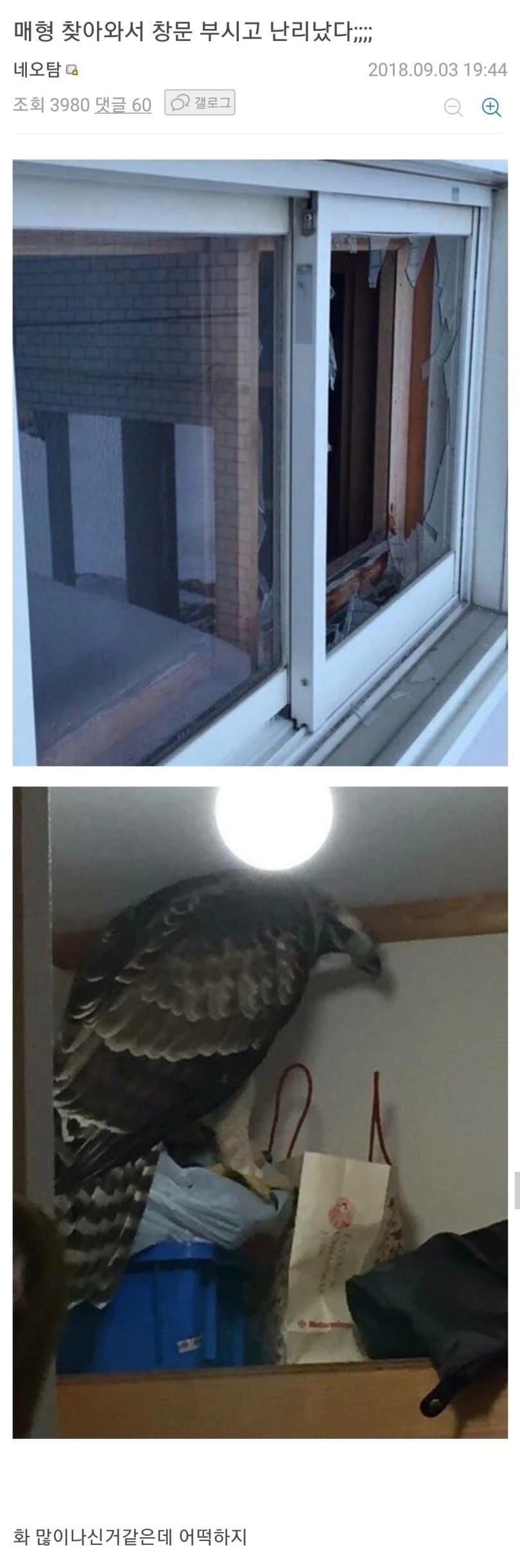 매형 난동 레전드 | 인스티즈