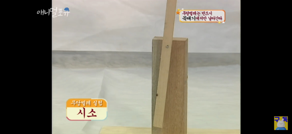 졸라귀여운 무당벌레는 OOO에서 날아간다 | 인스티즈