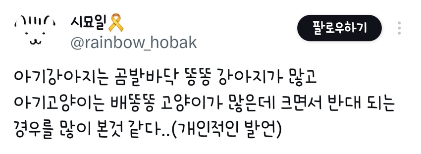 강아지가 이 정도로 롱다리로 클지 몰랐다는 견주 | 인스티즈