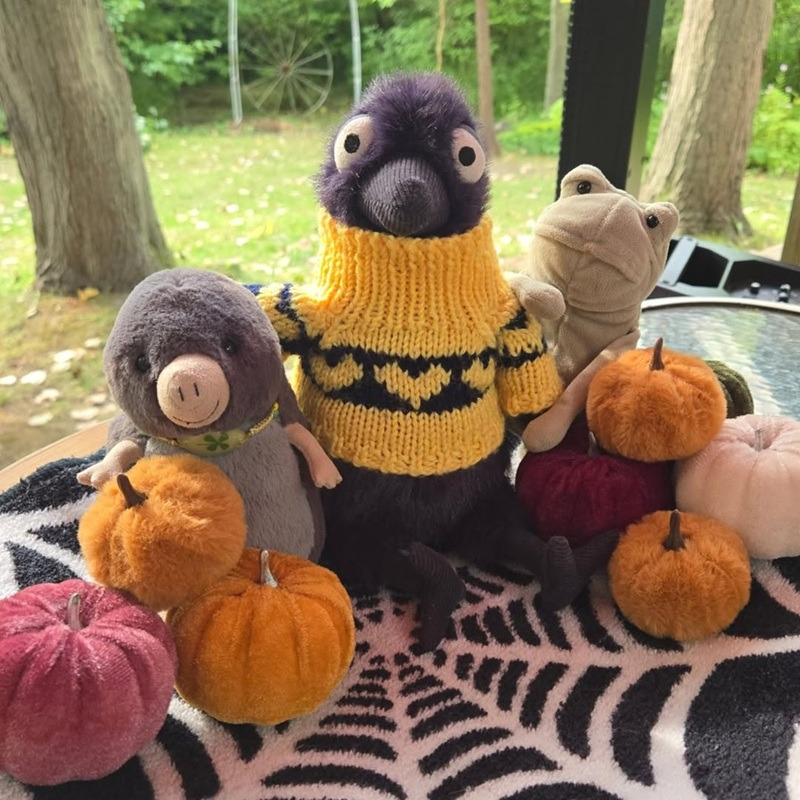 시무룩하게 생겨서 화제된 까마귀(Hocus crow) 인형 | 인스티즈