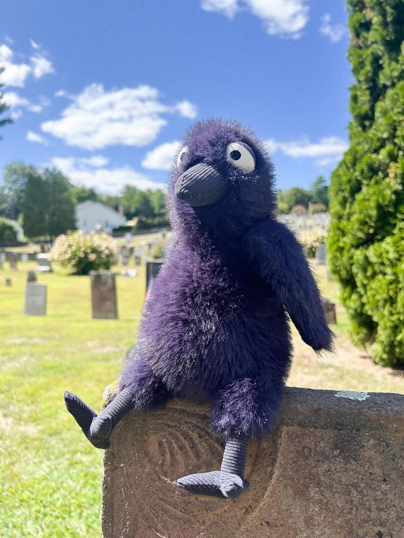 시무룩하게 생겨서 화제된 까마귀(Hocus crow) 인형 | 인스티즈