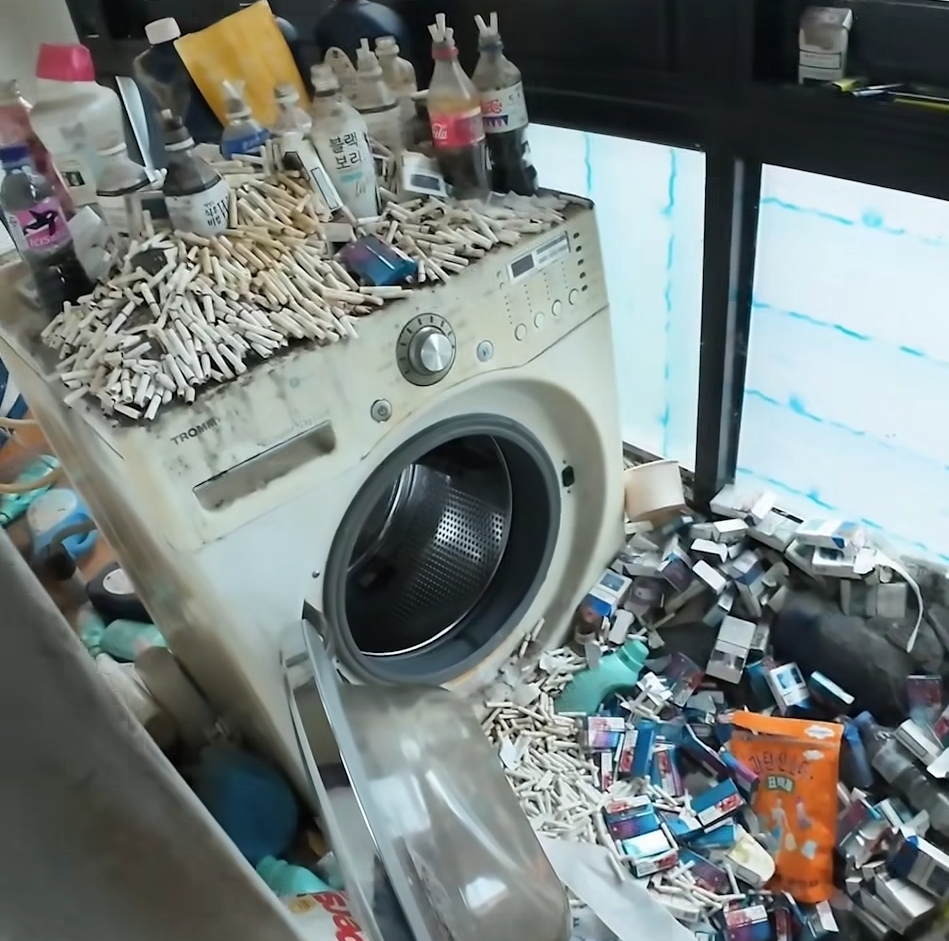 암수술을해서 급하게 집을 빼야해서 청소를 맡겼다는데요 | 인스티즈