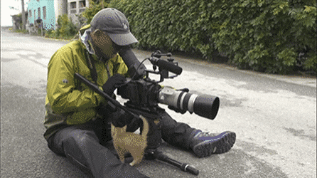 촬영중 간택 당한 카메라맨.gif | 인스티즈