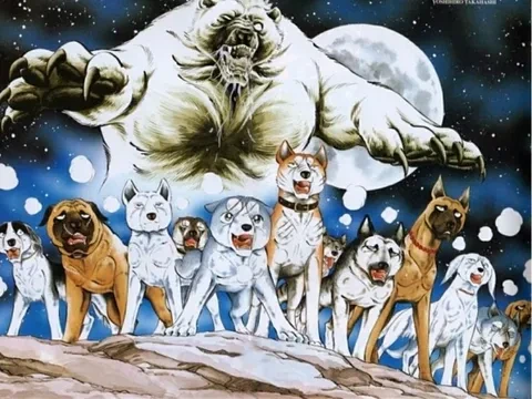 요즘 일본에서 활약이 필요해 보이는 친구들.gif | 인스티즈