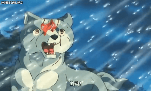 요즘 일본에서 활약이 필요해 보이는 친구들.gif | 인스티즈