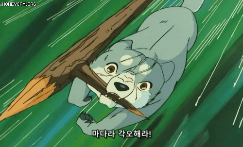 요즘 일본에서 활약이 필요해 보이는 친구들.gif | 인스티즈