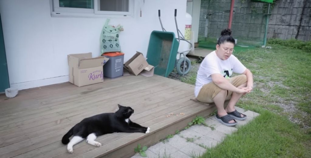 신발 물어 뜯은 고양이 찾아간 이영자 | 인스티즈