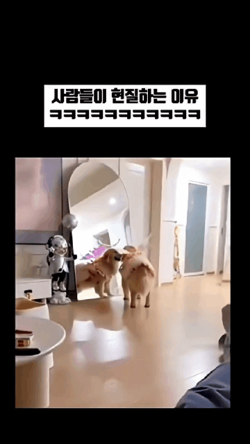 사람들이 현질하는 이유.gif | 인스티즈