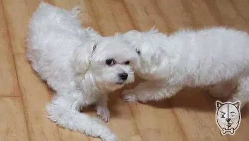 ??? : 얼굴도 못생긴게 간식도 잘 안주지 안냐? | 인스티즈