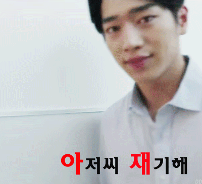 돌고래를 전시하는 수족관에 절대 가지 마세요 | 인스티즈