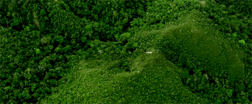 여러 국가에서 상영 금지까지 됐었던 영화 "그린 인페르노".gif | 인스티즈