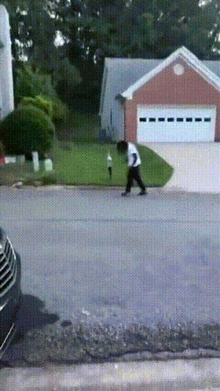 미국 펜실베니아주 메사추세츠구 시카고동에서 발견된 좀비 .gif | 인스티즈