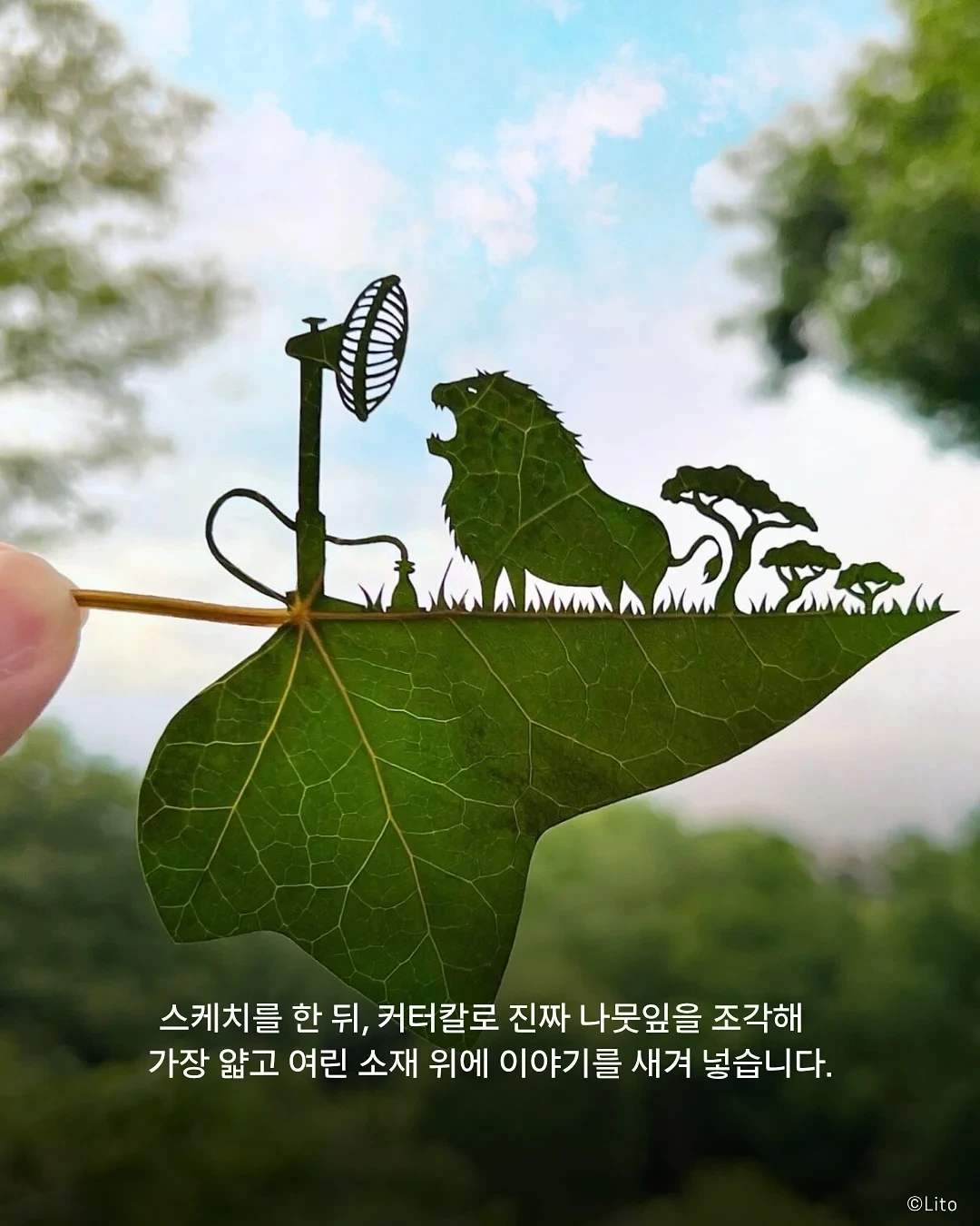 30살에 ADHD 판정 받고 시작한 예술 | 인스티즈