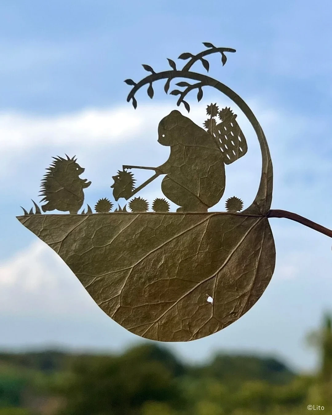 30살에 ADHD 판정 받고 시작한 예술 | 인스티즈