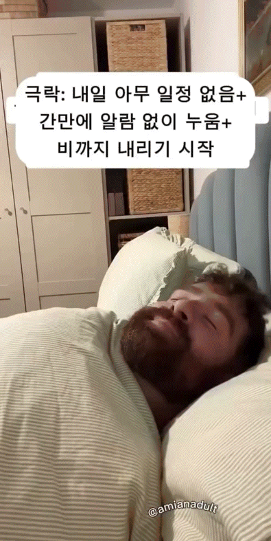 내가 제일 좋아하는 상황임 | 인스티즈