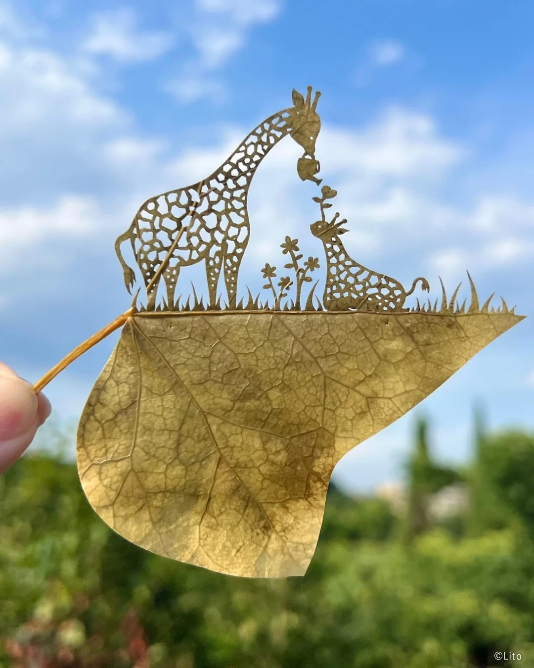 30살에 ADHD 판정 받고 시작한 예술 | 인스티즈