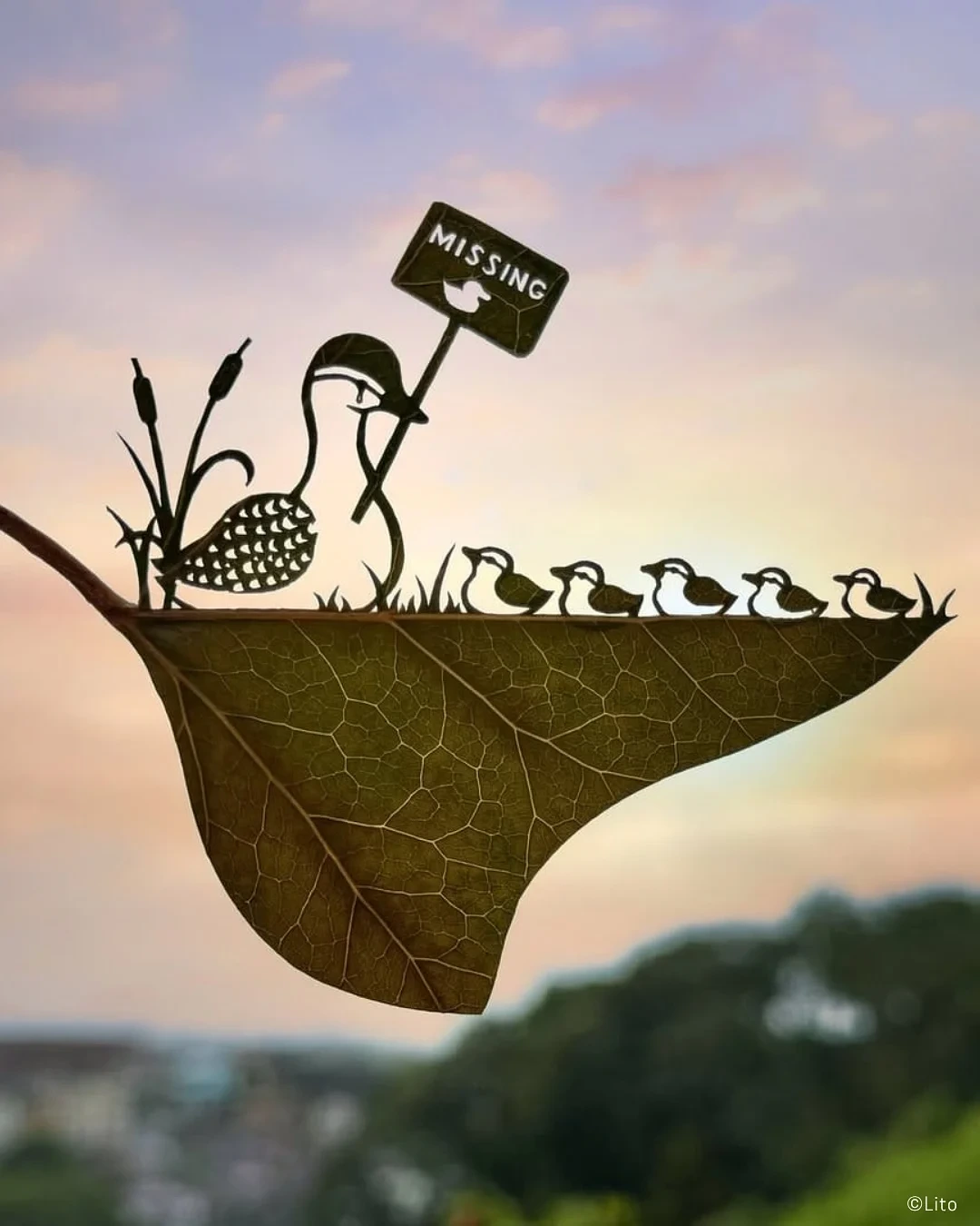 30살에 ADHD 판정 받고 시작한 예술 | 인스티즈