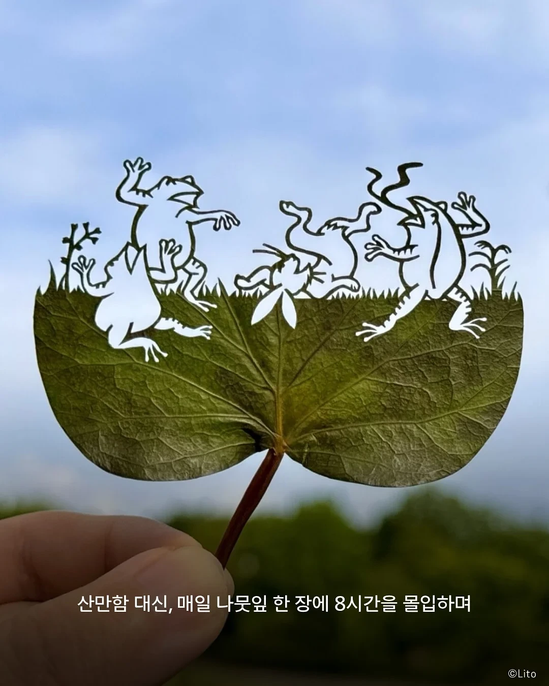 30살에 ADHD 판정 받고 시작한 예술 | 인스티즈