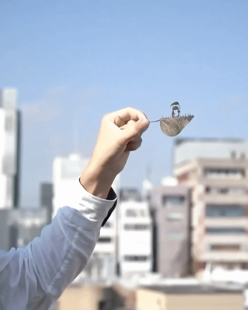 30살에 ADHD 판정 받고 시작한 예술 | 인스티즈