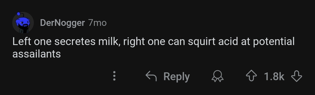 단짠단짠 레딧 핫플 모음 (스압) | 인스티즈