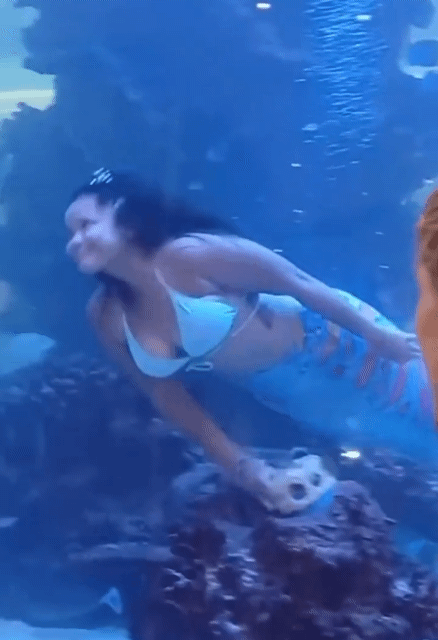 단짠단짠 레딧 핫플 모음 (스압) | 인스티즈