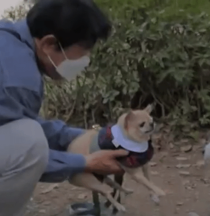 나혼산 캐리하고 간 김응수랑 반려견 쵸파.jpgif | 인스티즈