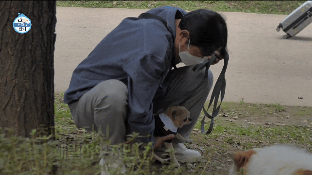 나혼산 캐리하고 간 김응수랑 반려견 쵸파.jpgif | 인스티즈