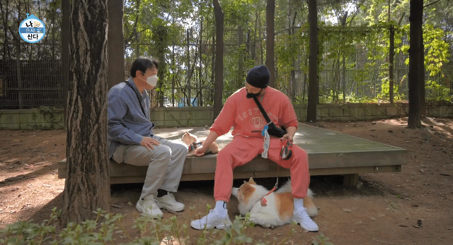 나혼산 캐리하고 간 김응수랑 반려견 쵸파.jpgif | 인스티즈