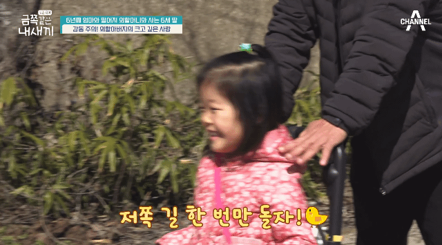 다정함이 전해지던 금쪽이와 할아버지의 산책길 | 인스티즈