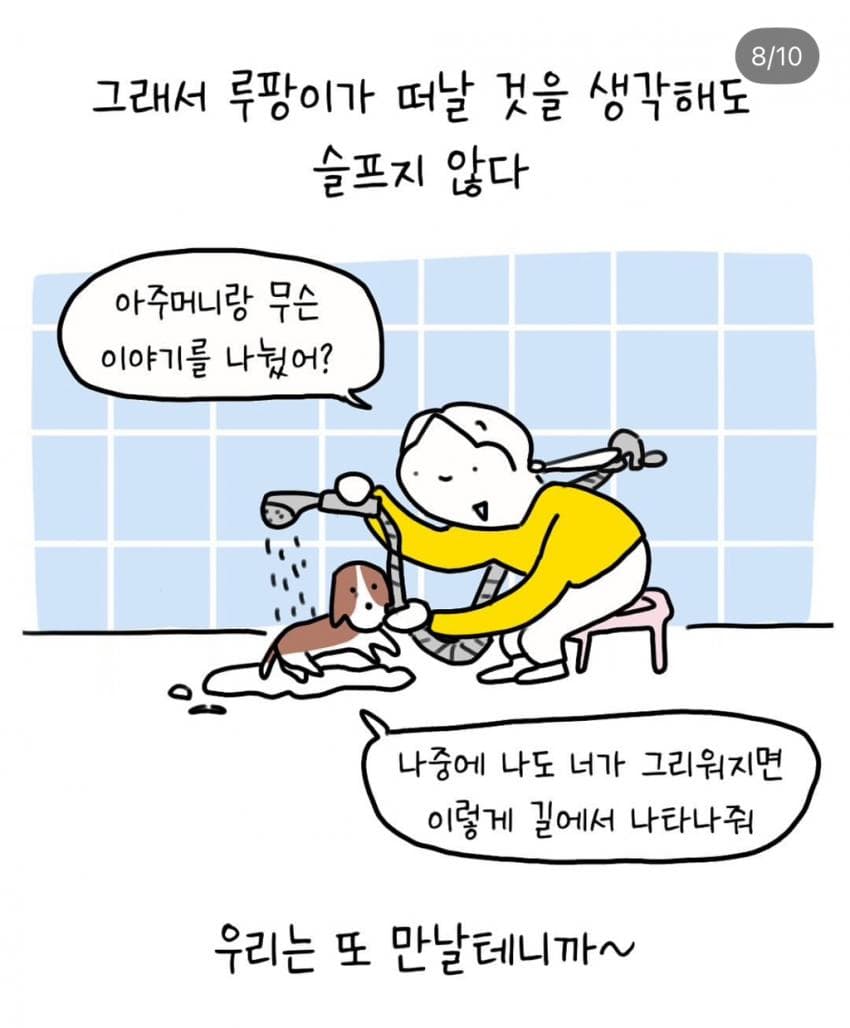 반려견과 산책 중에 만난 한 아주머니 | 인스티즈