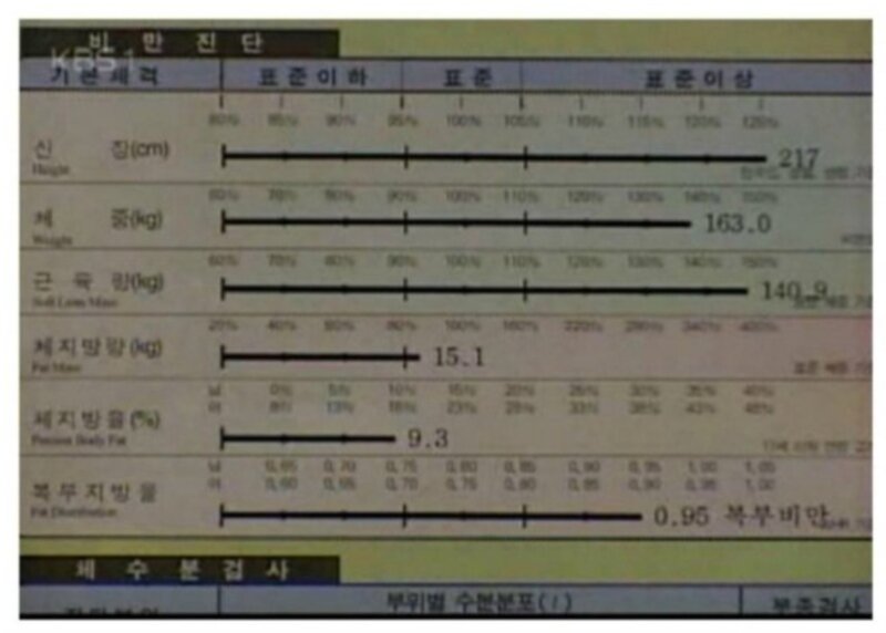 전성기 최홍만 인바디 수치 | 인스티즈