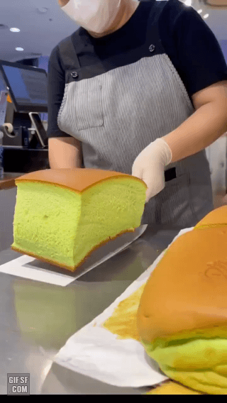 탱글탱글 녹차 카스테라 | 인스티즈