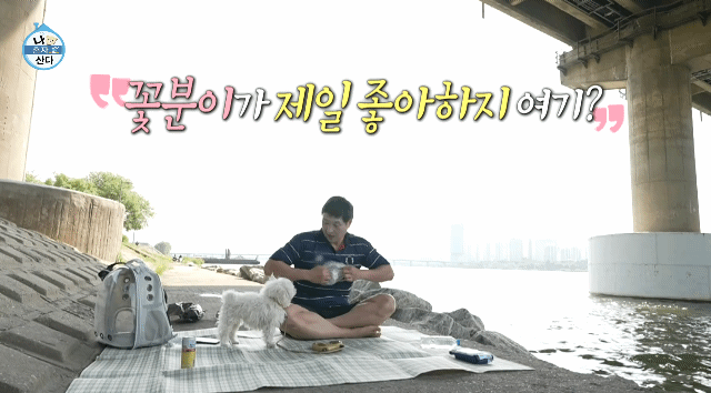 꽃분이 크롭 해주세요 | 인스티즈