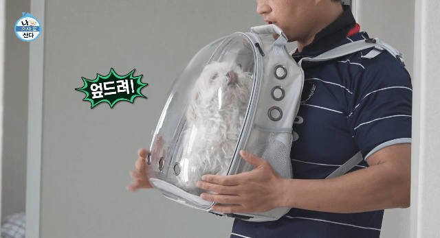 꽃분이 크롭 해주세요 | 인스티즈