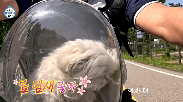 꽃분이 크롭 해주세요 | 인스티즈