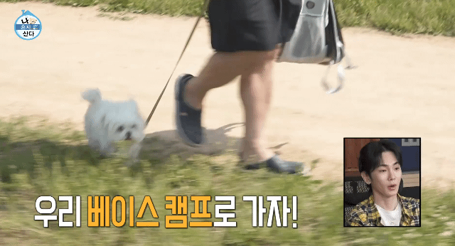 꽃분이 크롭 해주세요 | 인스티즈