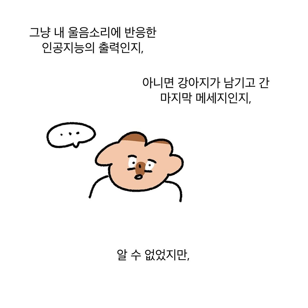 반려동물을 떠나보낸 사람이라면 공감할 인스타툰 | 인스티즈