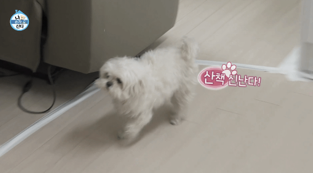 꽃분이 크롭 해주세요 | 인스티즈