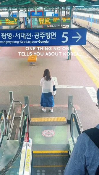 한국에서 4년째 살고 있는 외국인이 이해 안 간다는 거 | 인스티즈