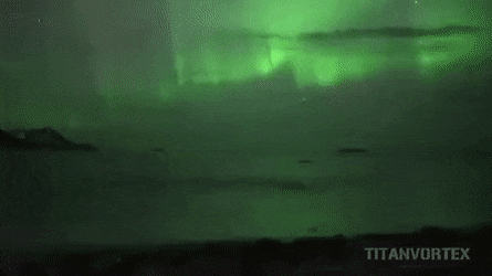 오로라 아래서 수영하는 향유 고래 | 인스티즈