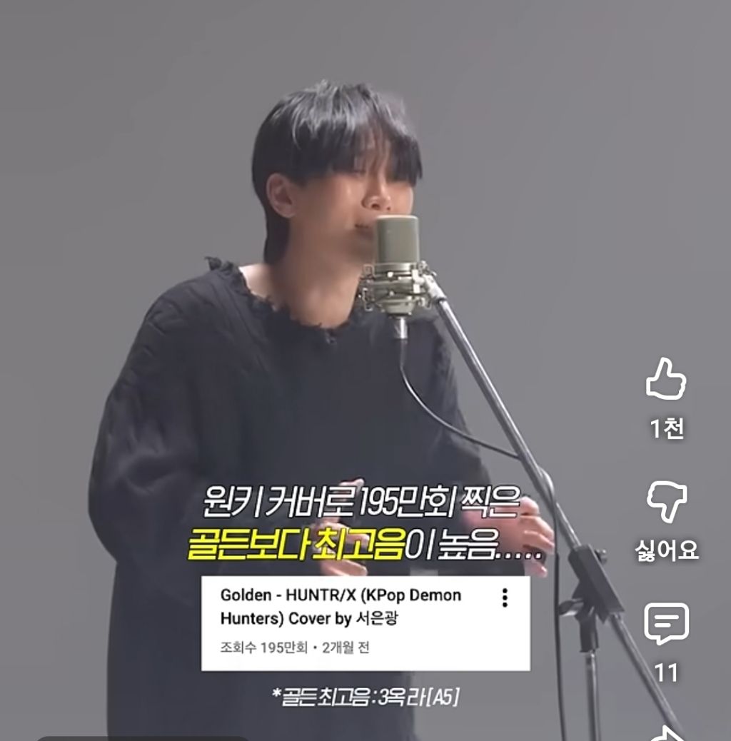 저작권 절대 지키겠다는 아이돌의 돌고래 고음.jpg | 인스티즈