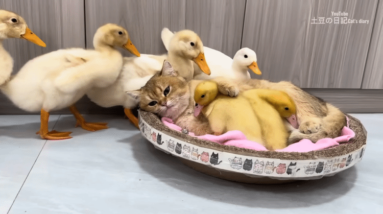 난 누구? 여긴 어디? | 인스티즈