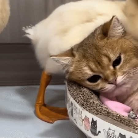 난 누구? 여긴 어디? | 인스티즈