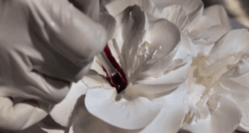 1평짜리 가게에서 시작해서 건물주까지 됐다는 생크림 꽃 케이크.gif | 인스티즈